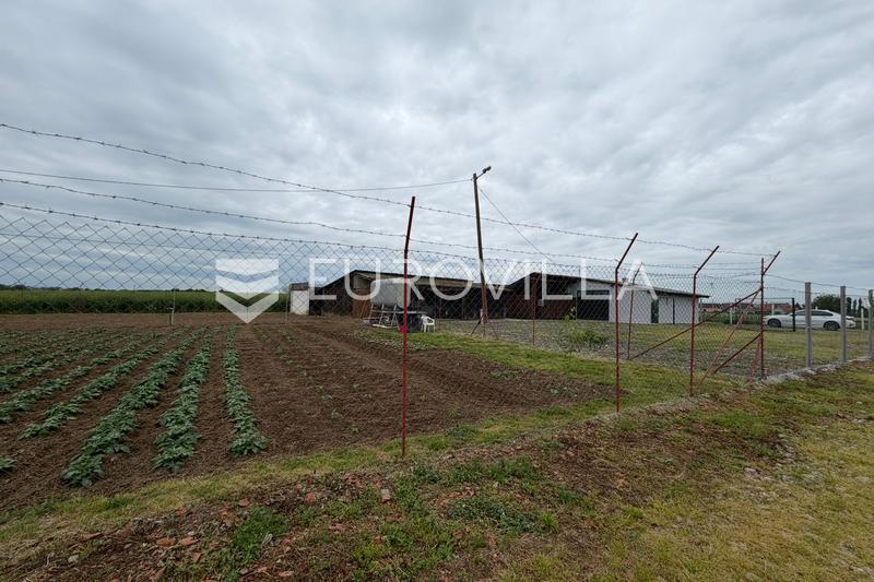 image 13