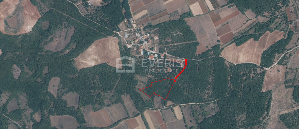 JAKIĆI DOLINJI