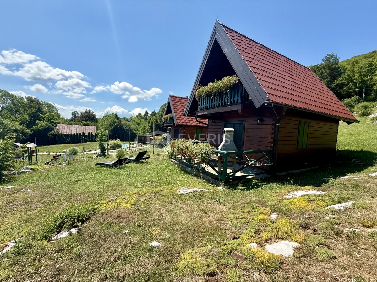 image 46