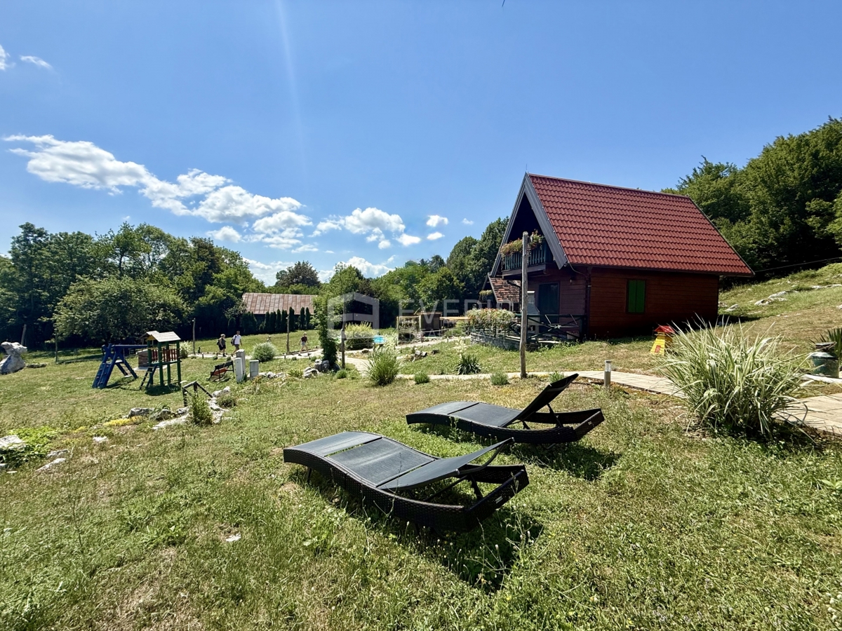 image 47