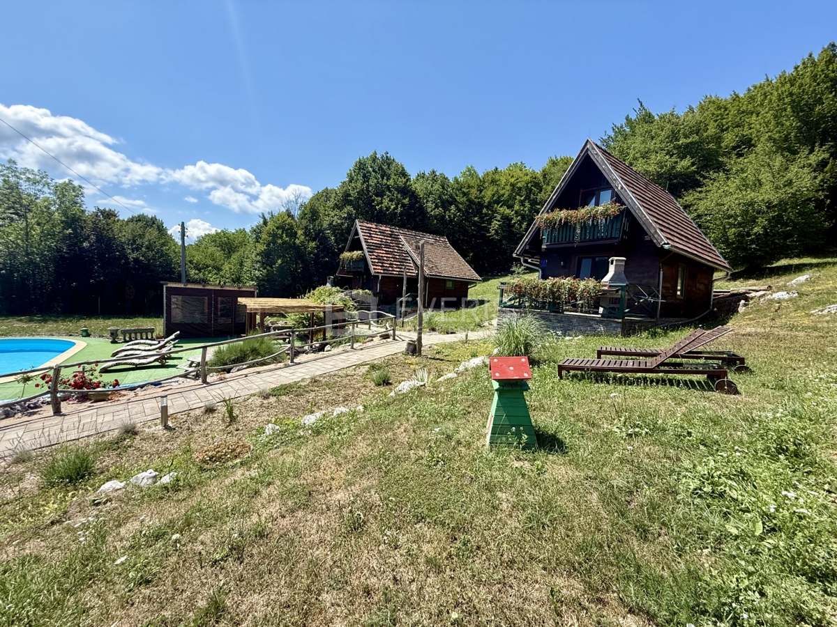 image 41