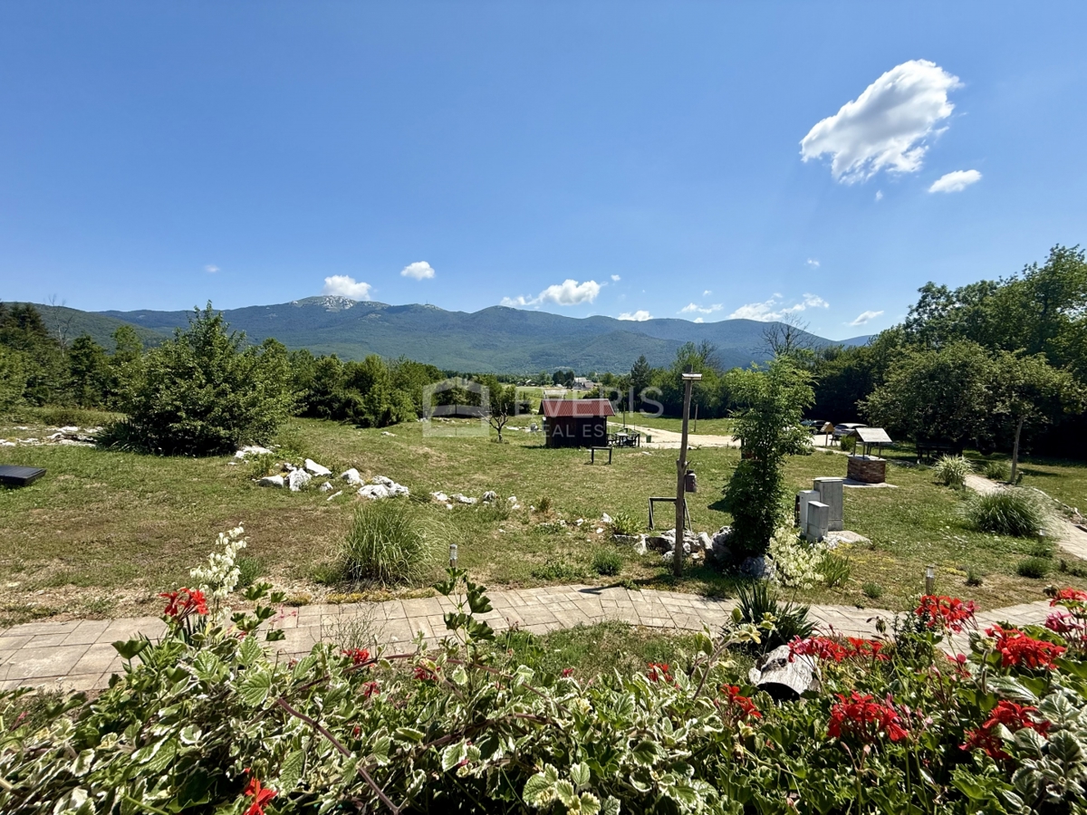 image 38