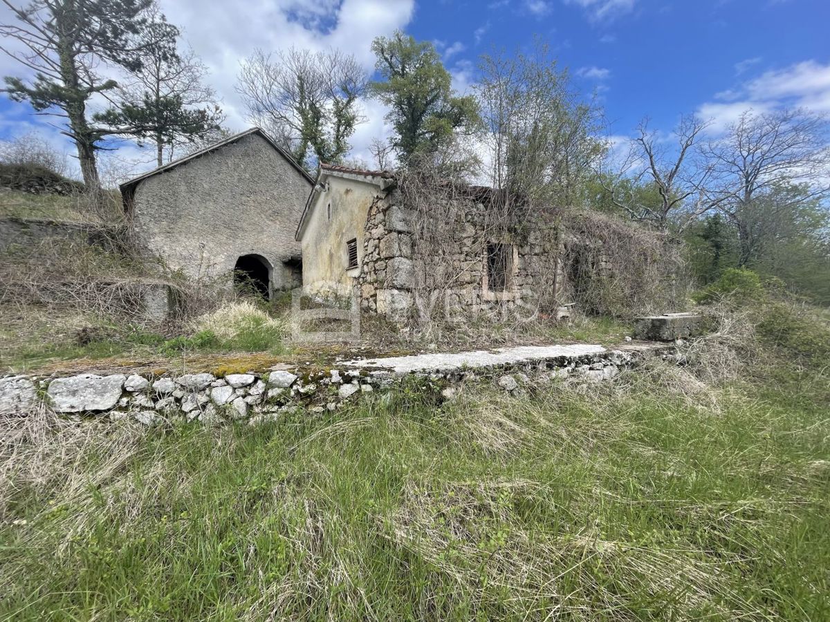 VEPRINAC