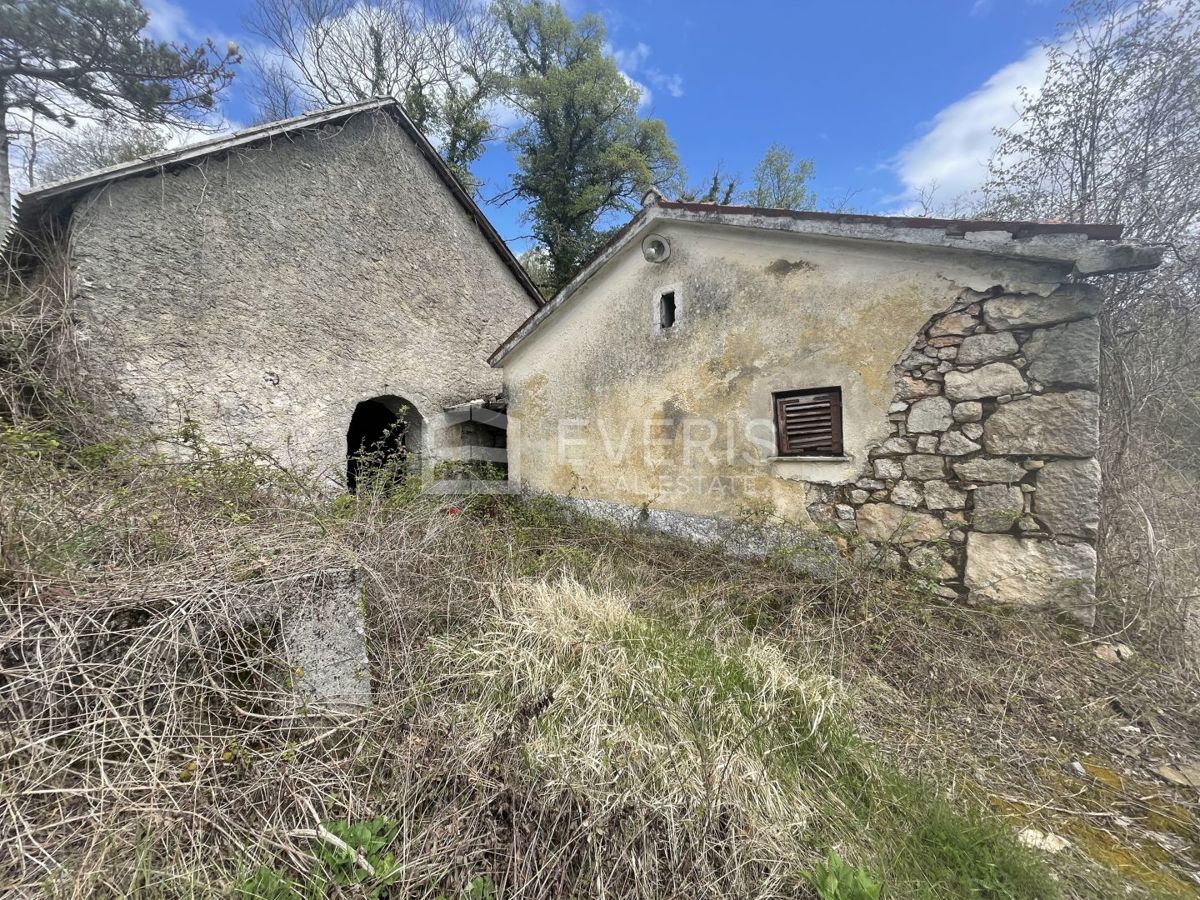 VEPRINAC
