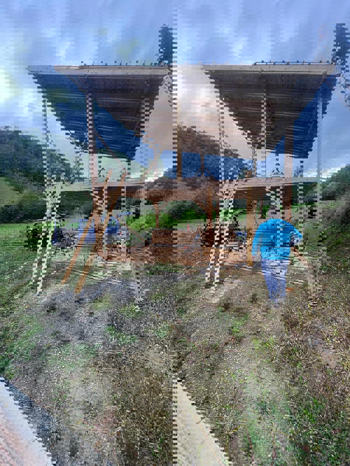 BREZOVA