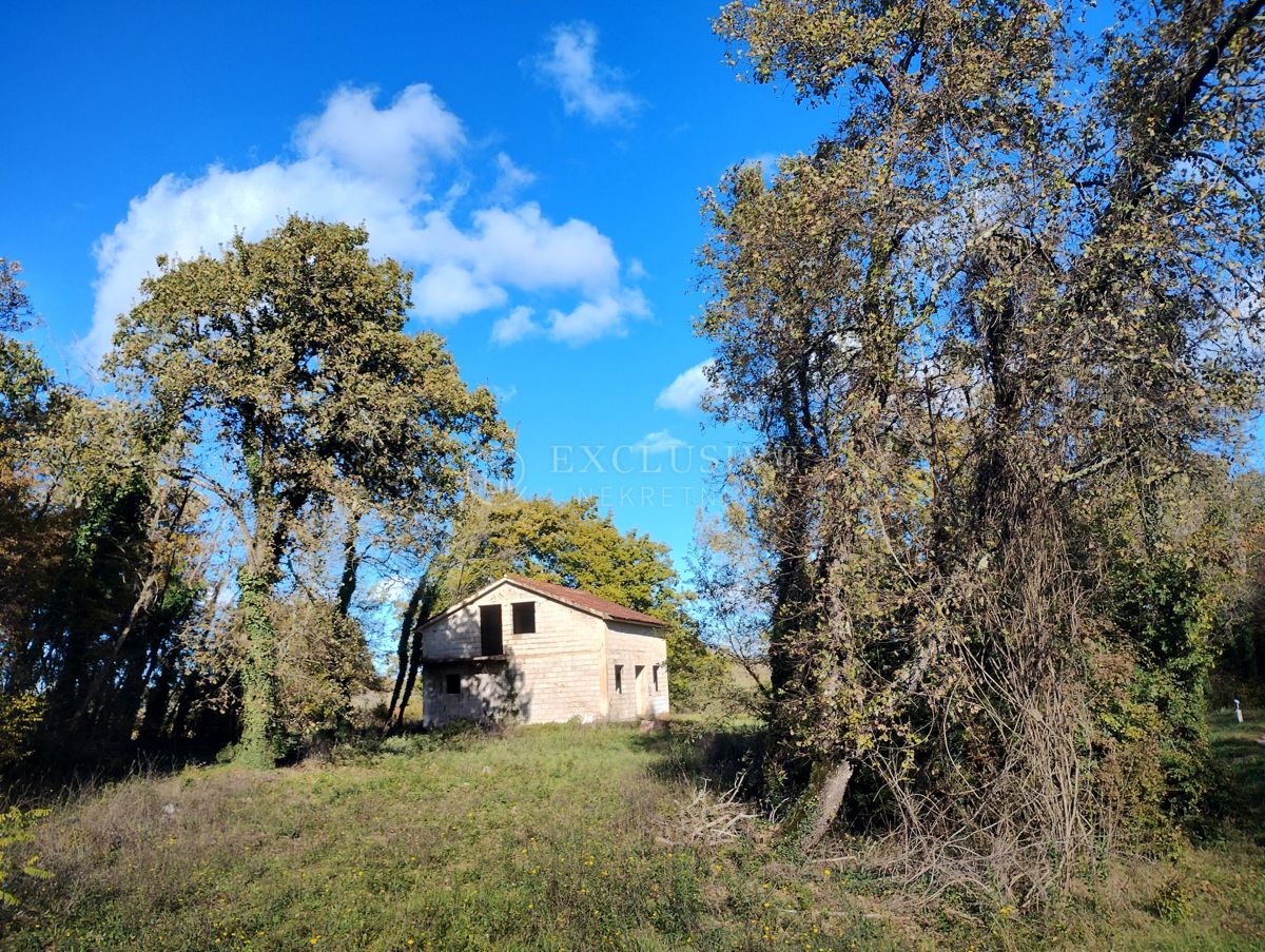 BARIĆI