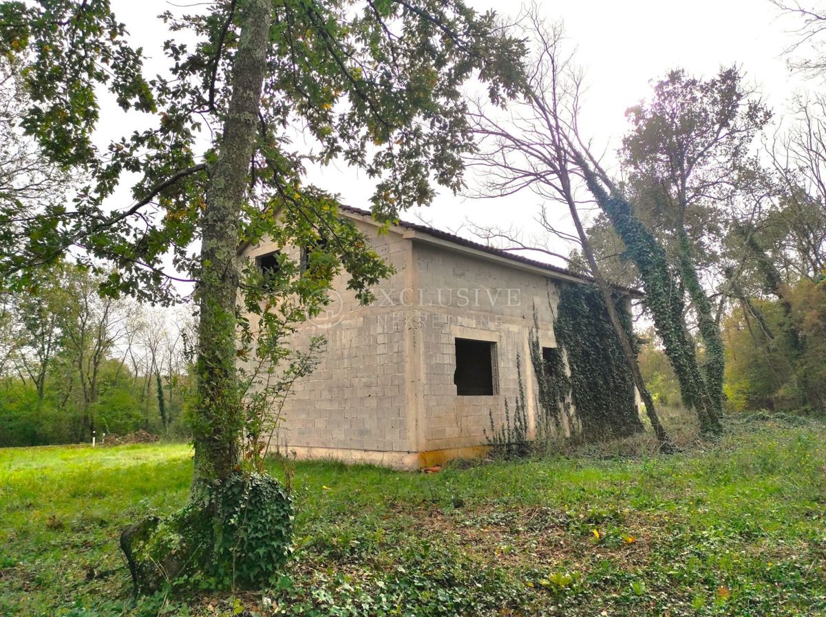BARIĆI