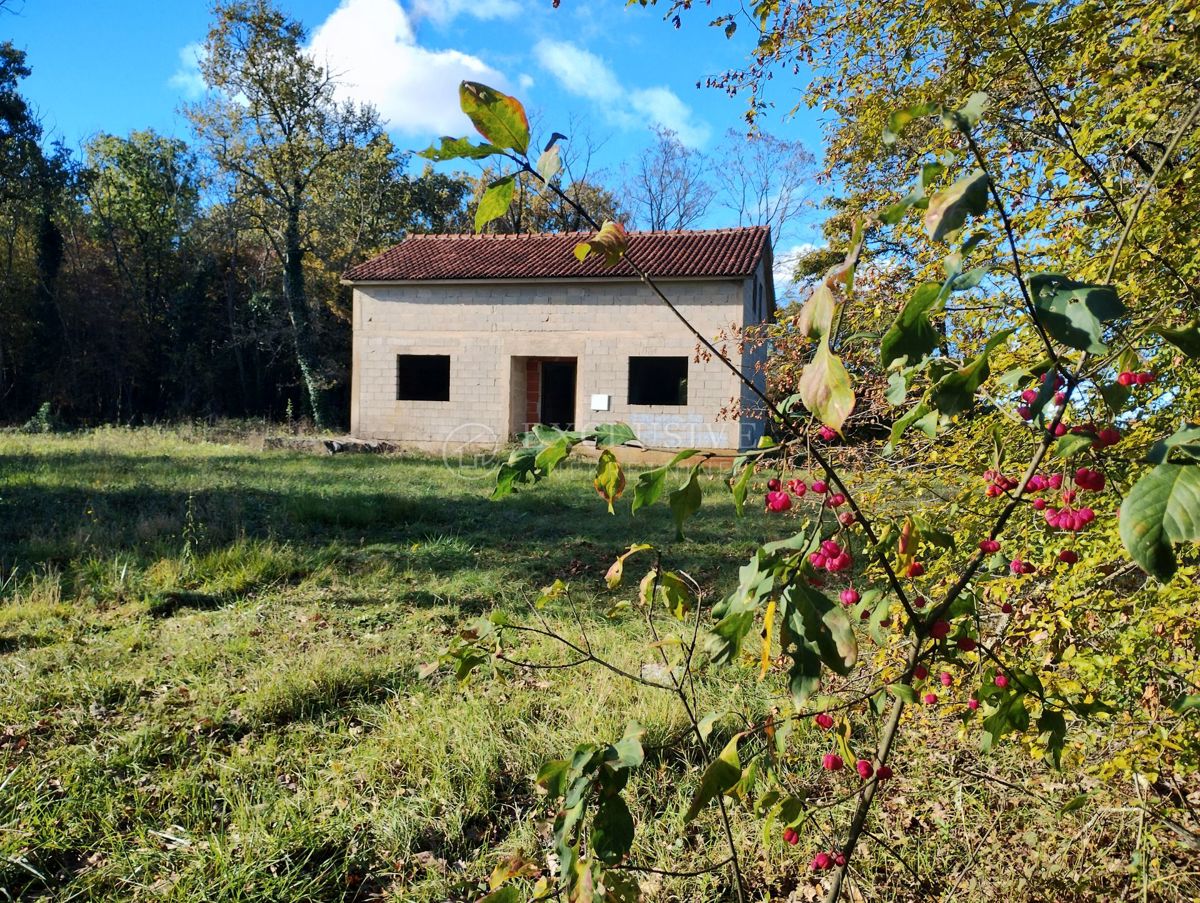 BARIĆI