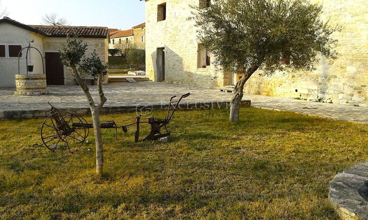 UMAG