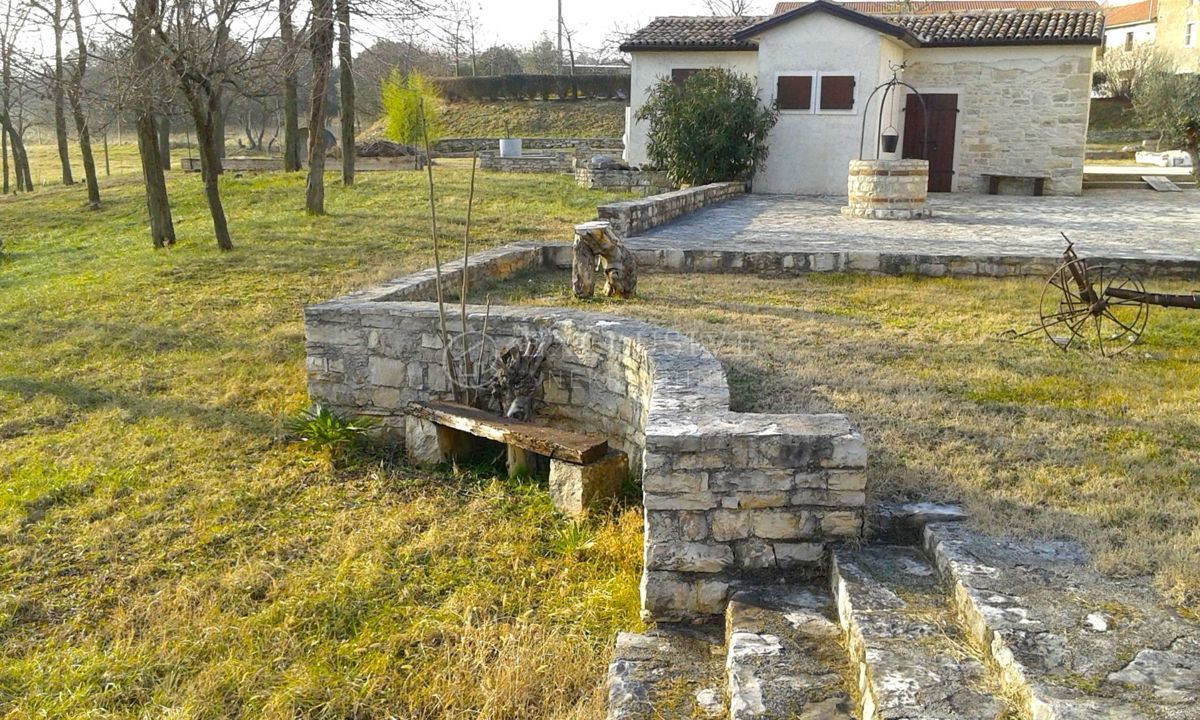 UMAG