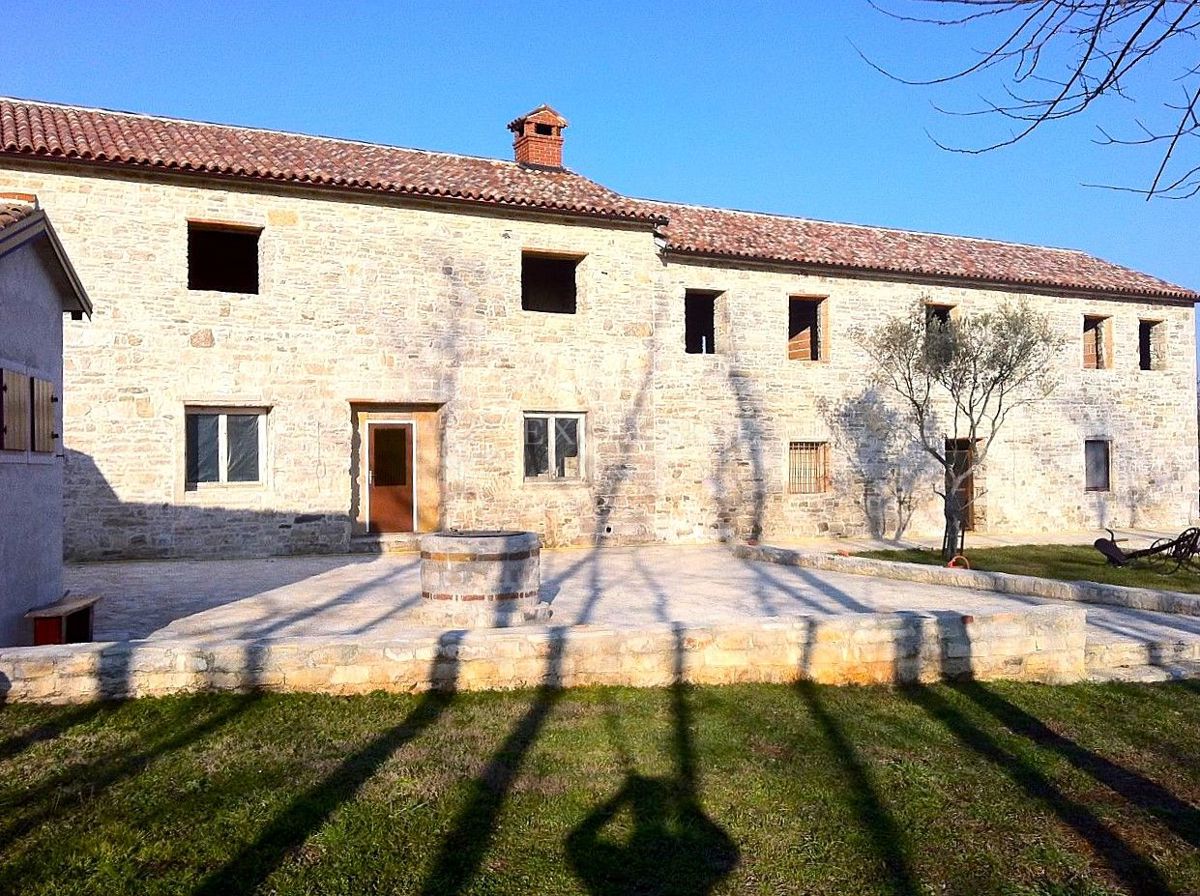UMAG