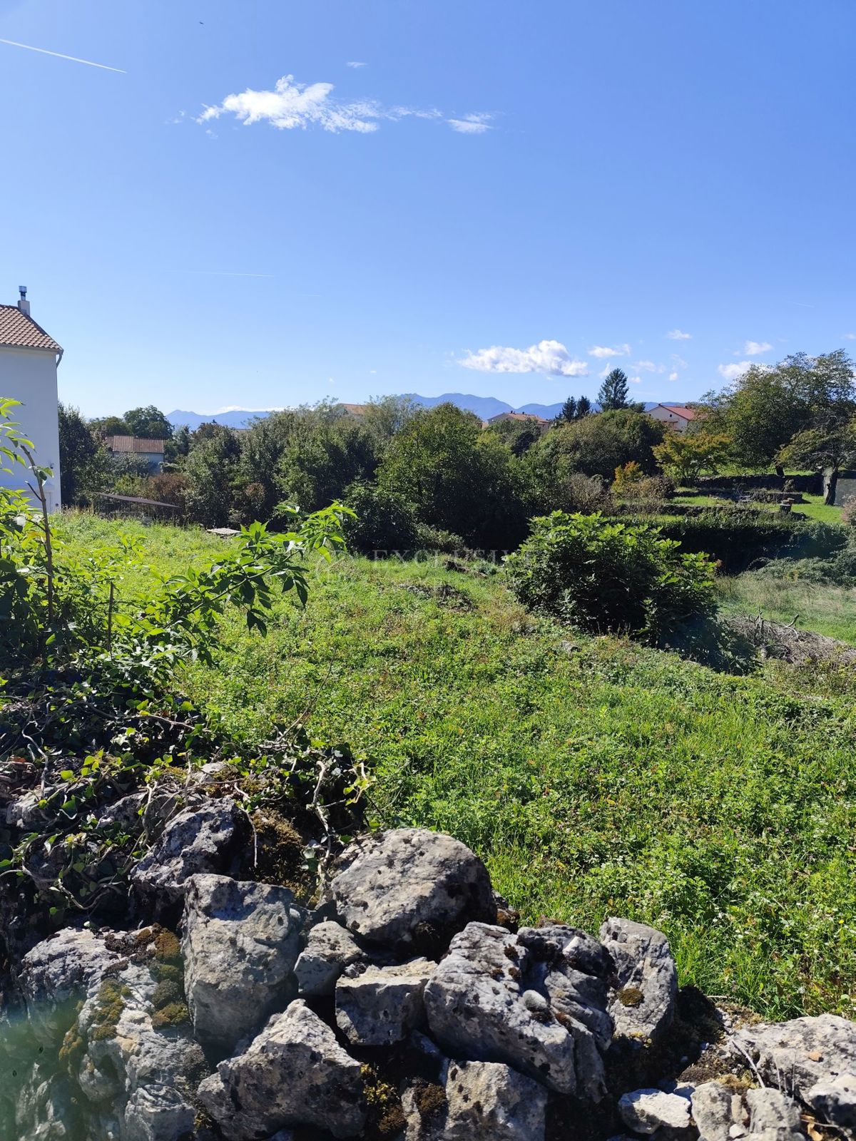 MARČELJI