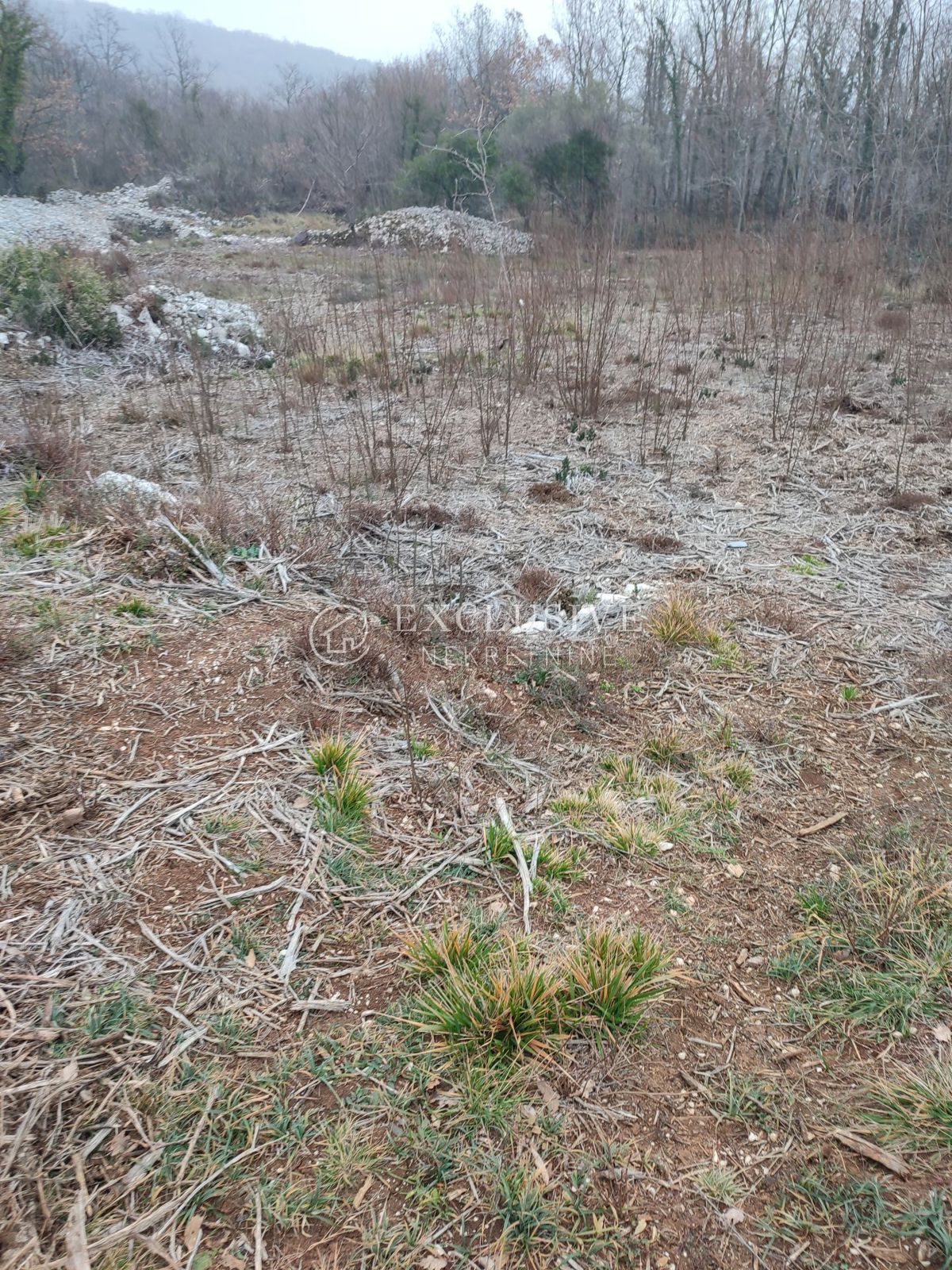 BRSEČ