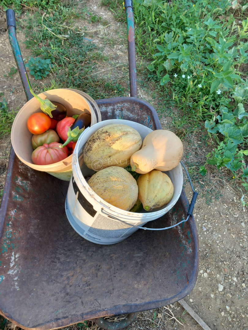 image 85