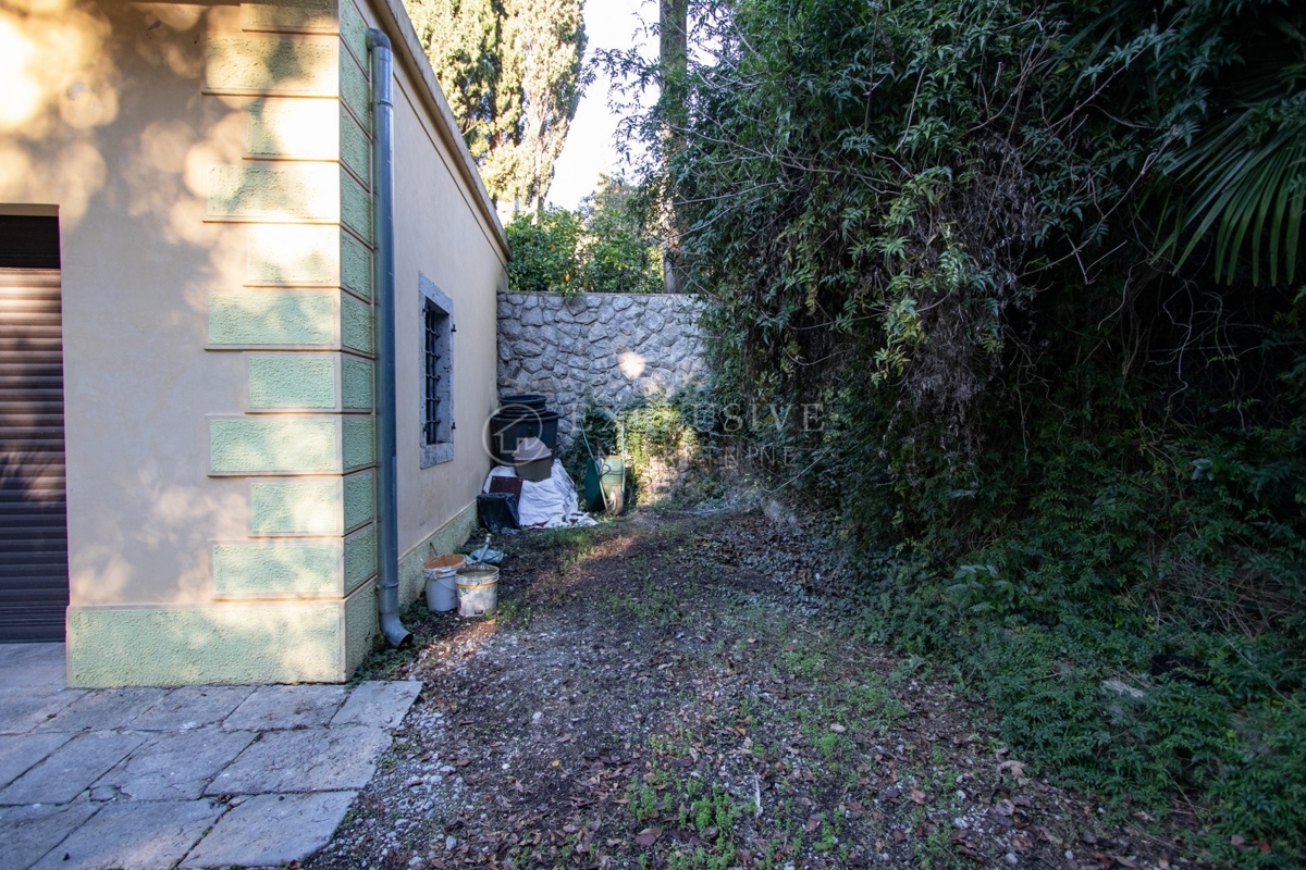 image 31