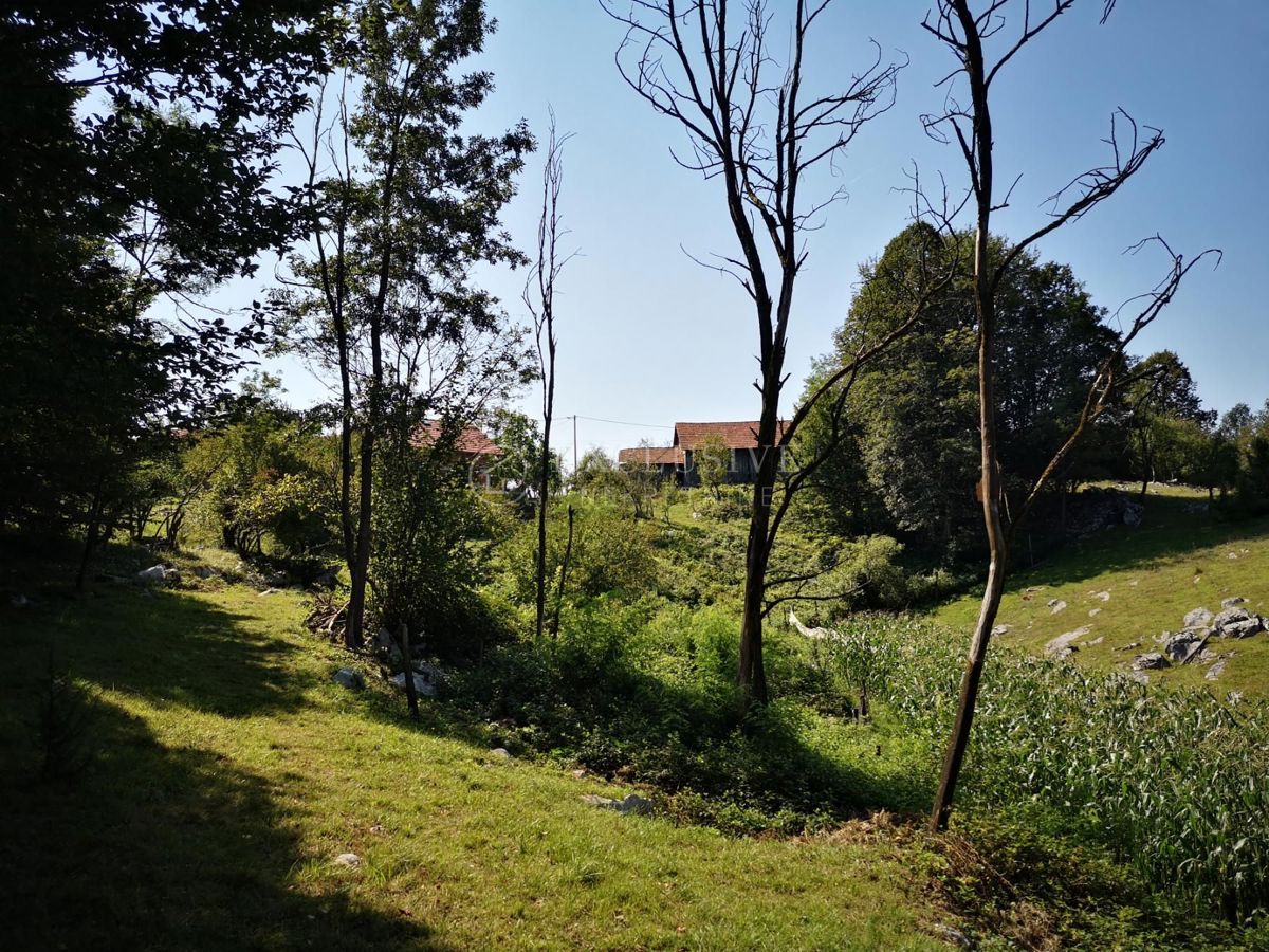 DUGA GORA