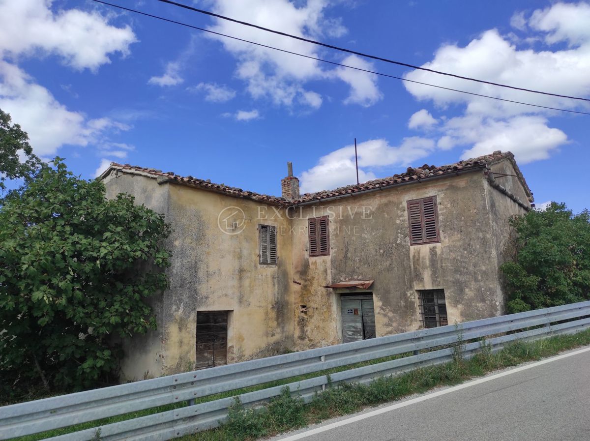 BUZET