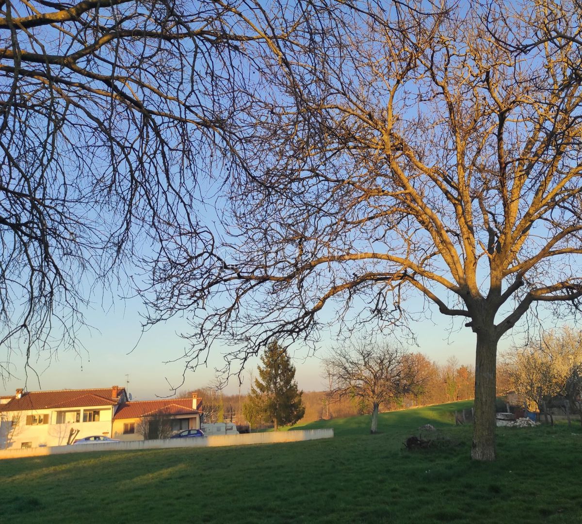 SVETI PETAR U ŠUMI