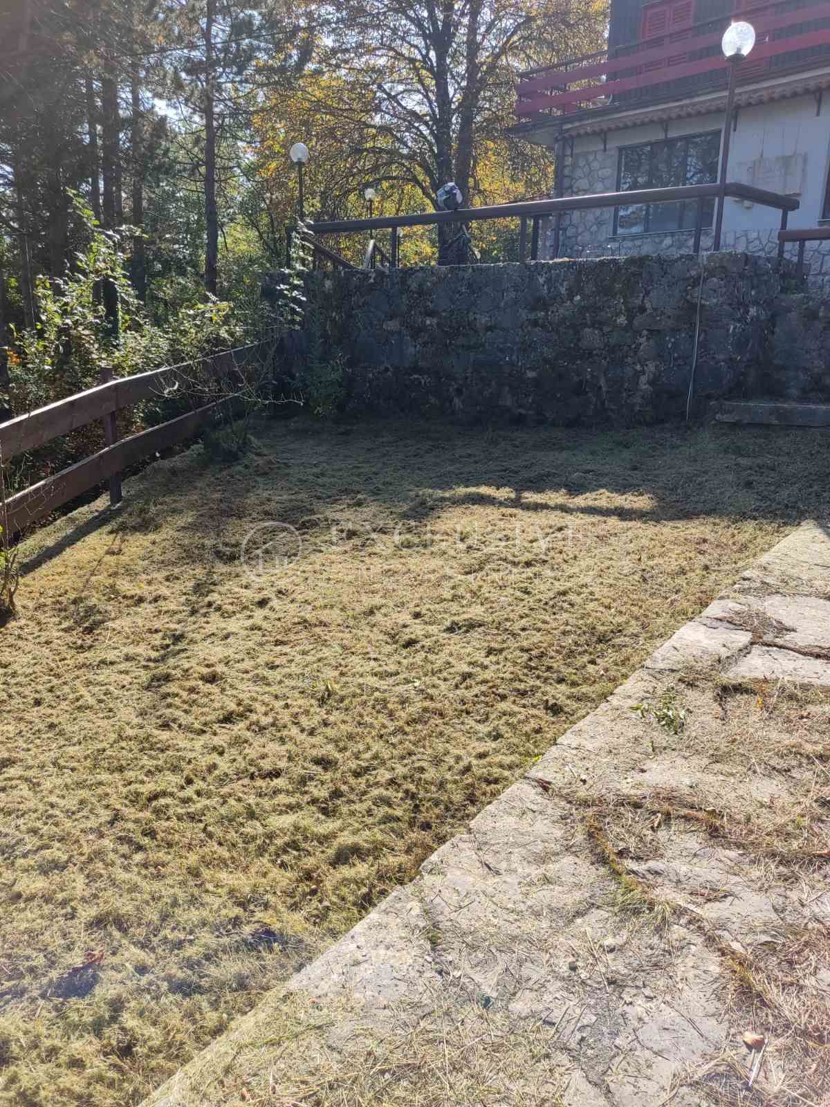 VELA UČKA