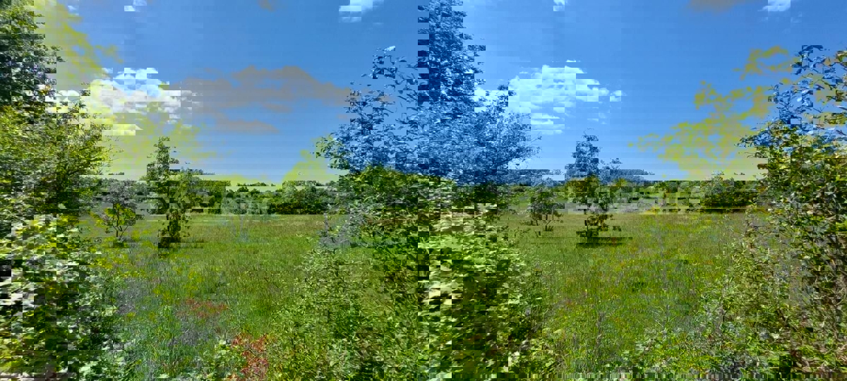 BADERNA