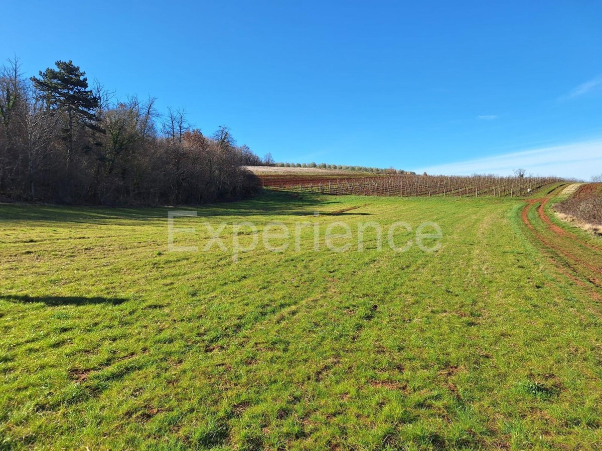 Terreno VIŽINADA, 28.000 €