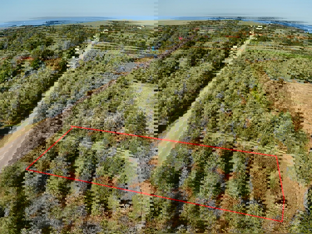 Terreno TAR-VABRIGA, 29.000 €