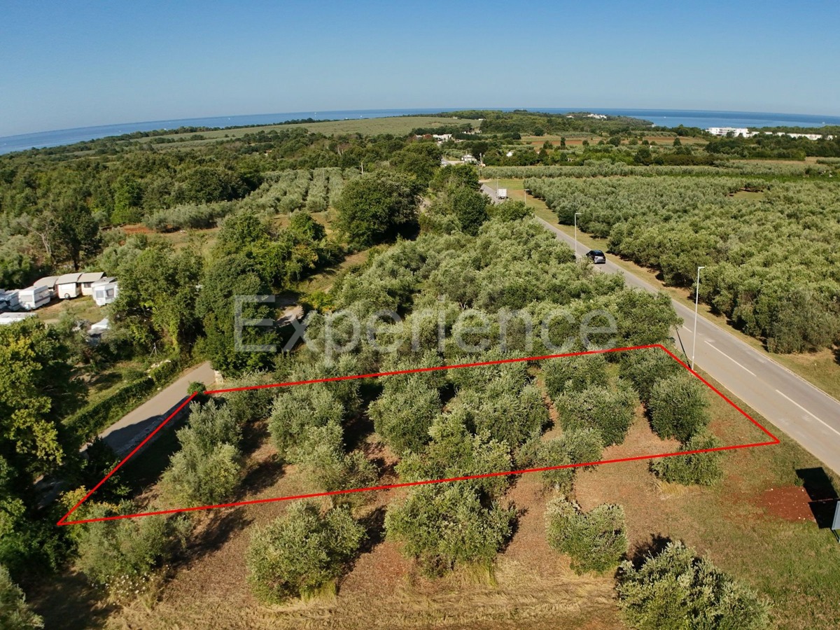 Terreno TAR-VABRIGA, 27.800 €