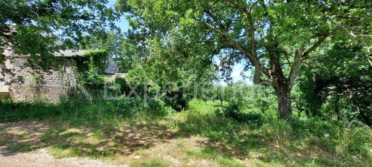 SVETI LOVREČ PAZENATIČKI