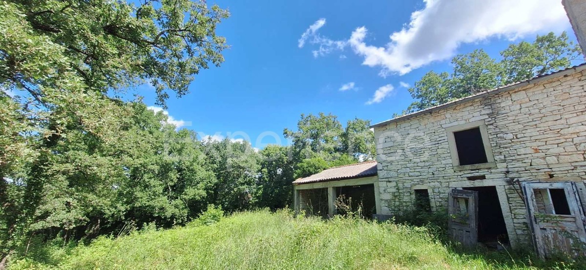 SVETI LOVREČ PAZENATIČKI