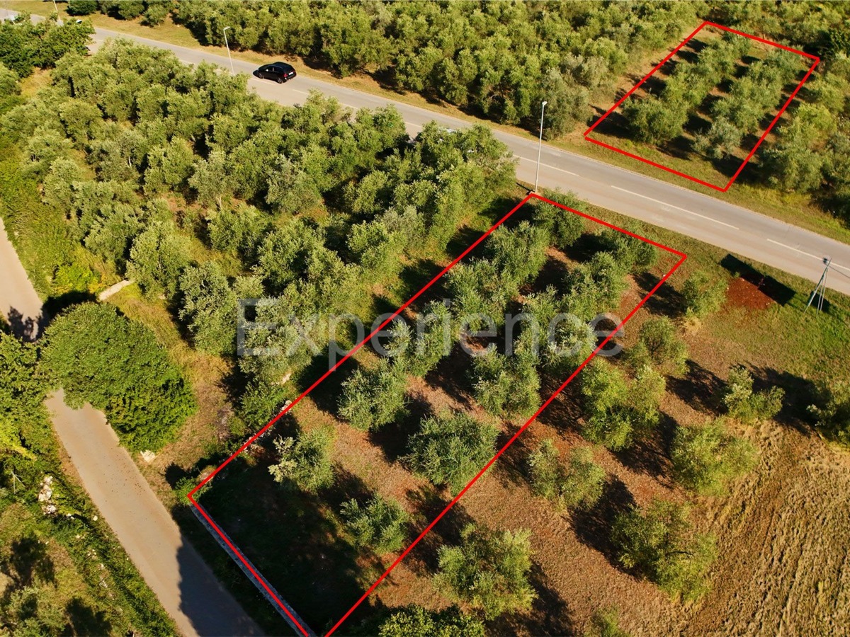 Terreno TAR-VABRIGA, 57.000 €