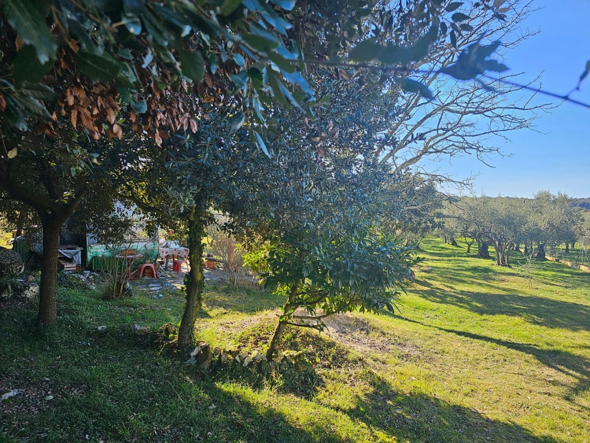 VRSAR