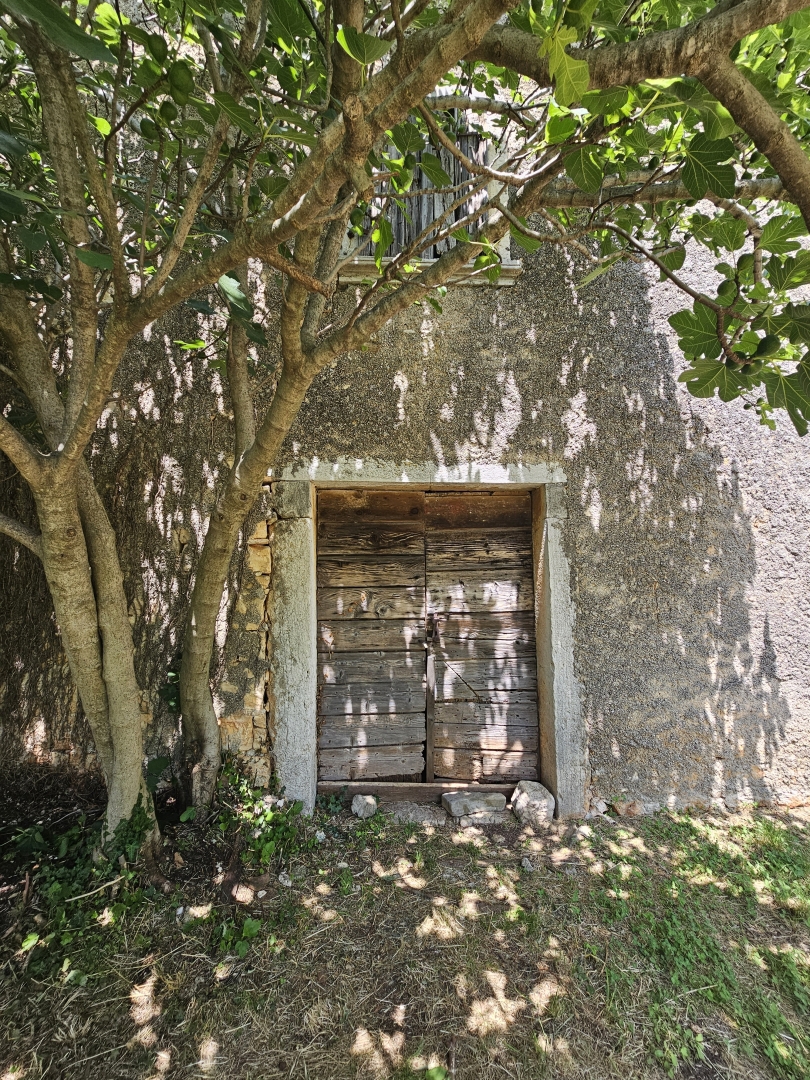 image 16