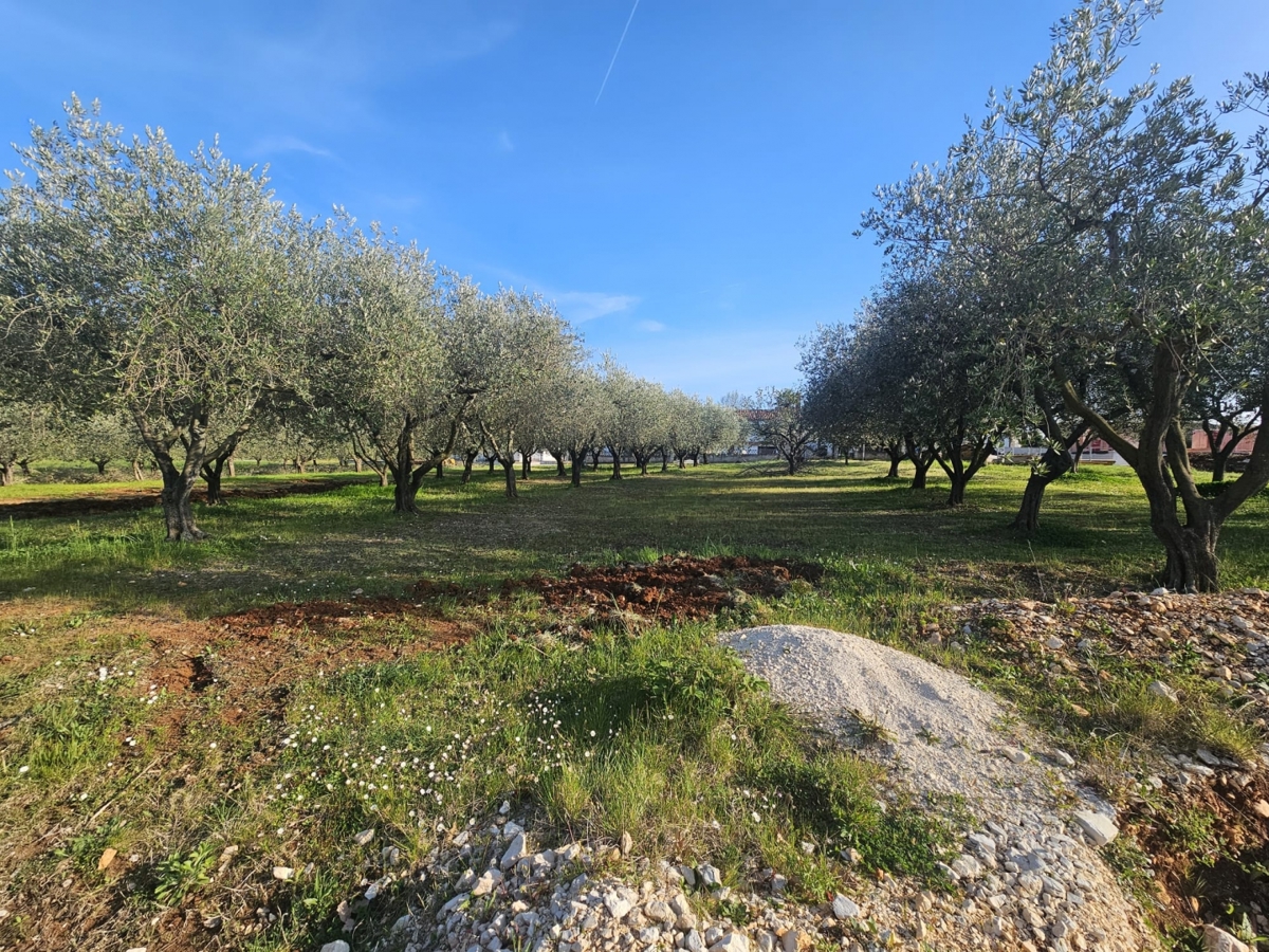 Terreno POREČ, 165.000 €