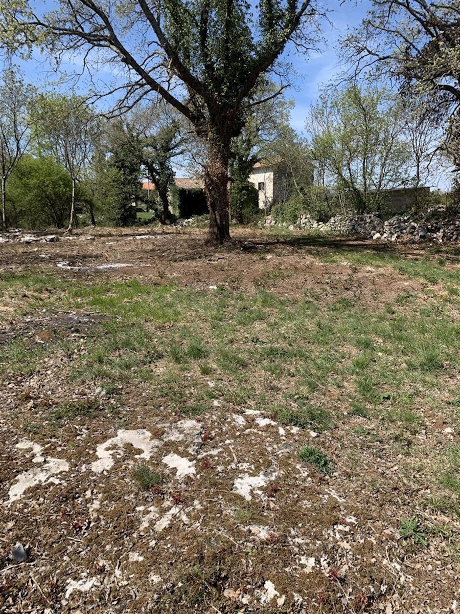 SVETI LOVREČ PAZENATIČKI