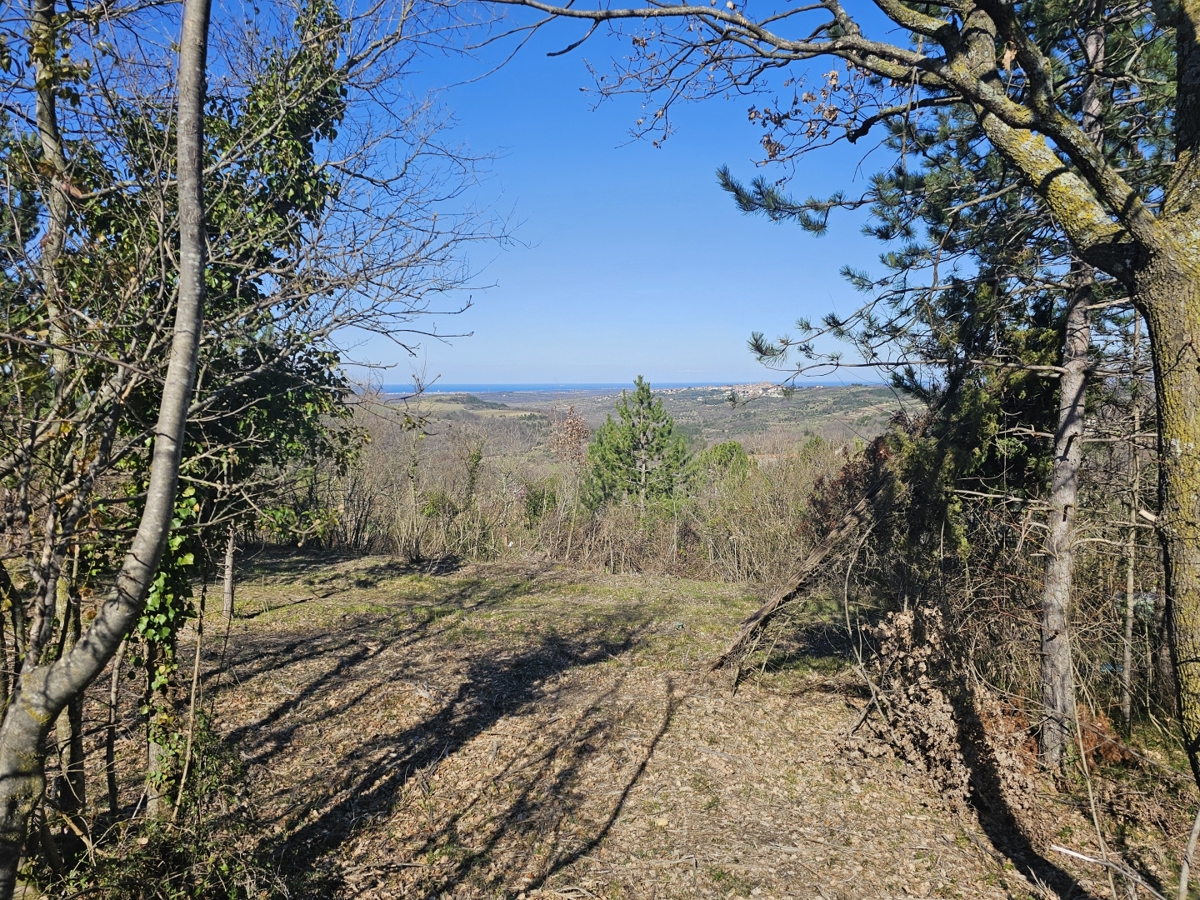 image 14