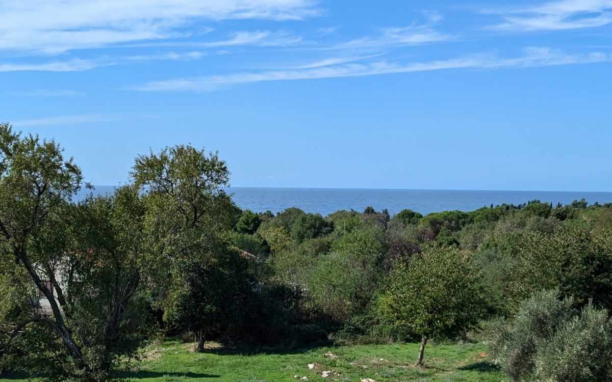 image 67