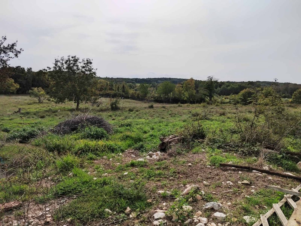 FUŠKULIN