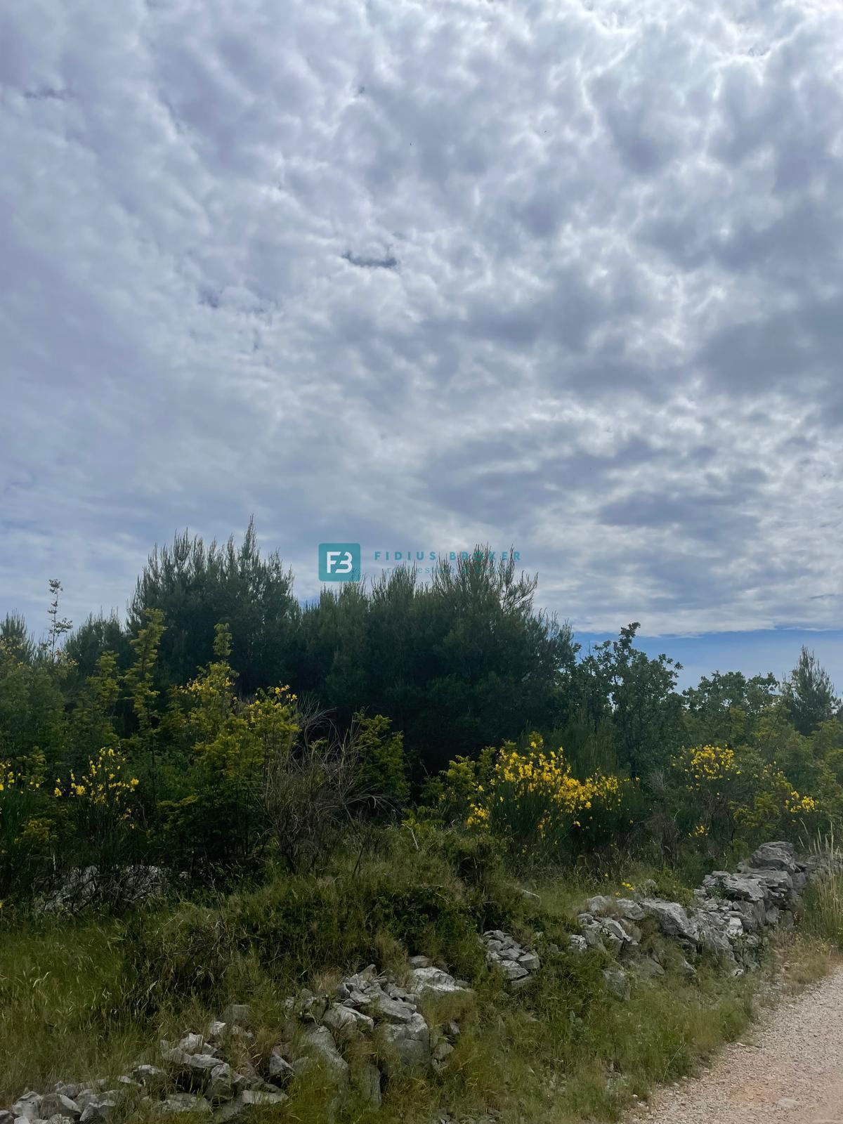 VODICE
