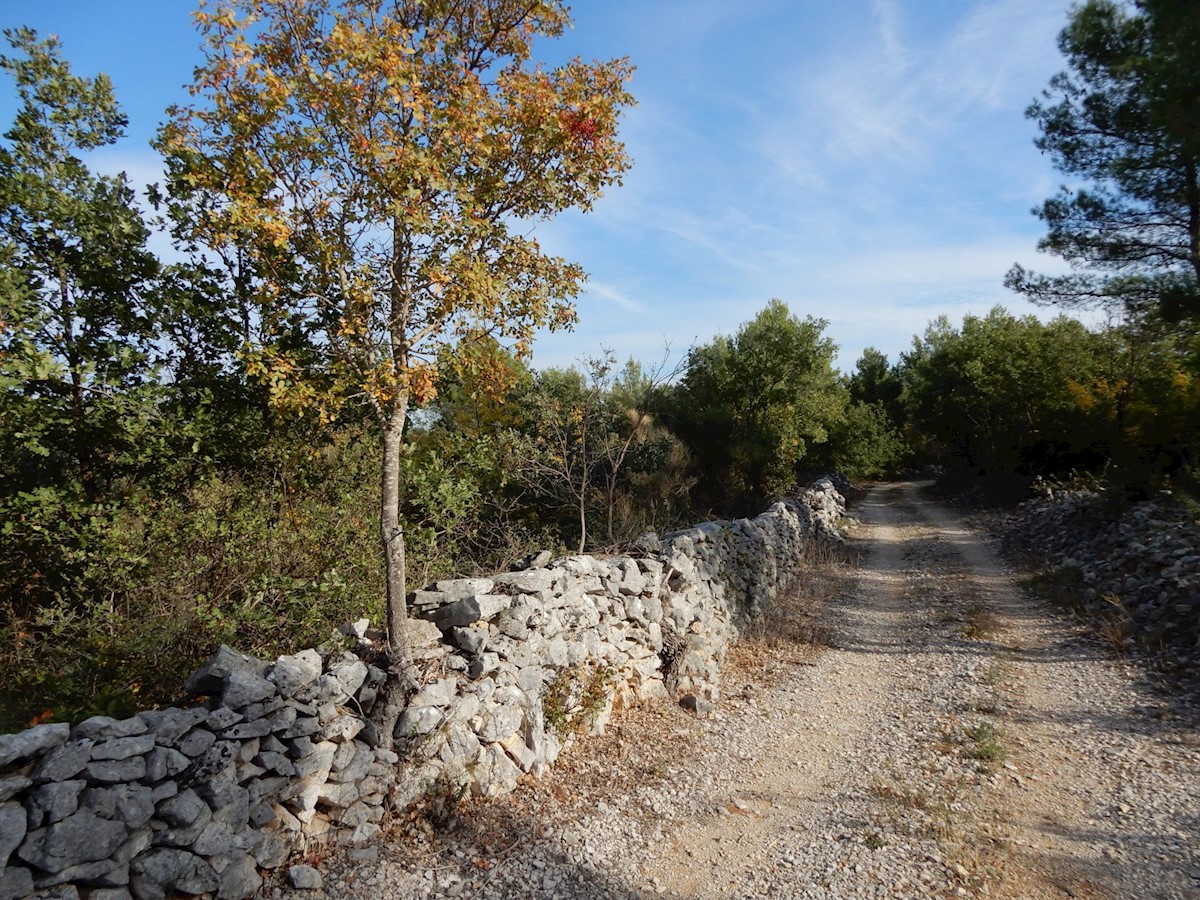 VODICE