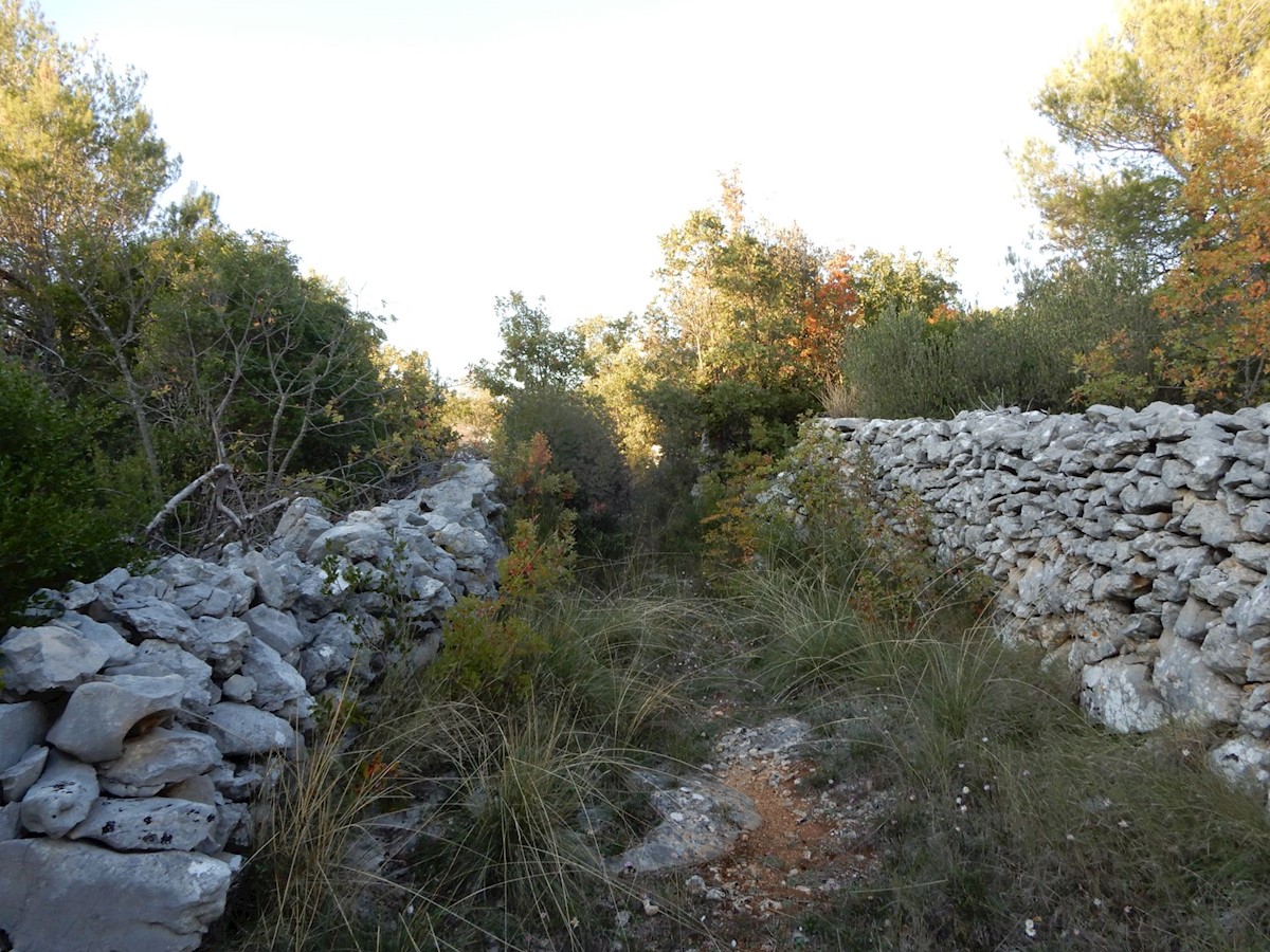 VODICE