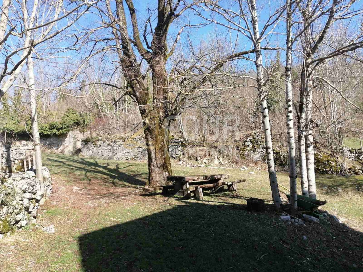 LANIŠĆE