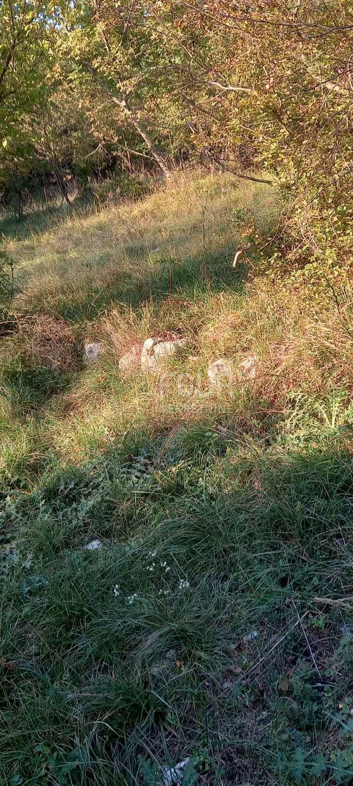 ČAVLE