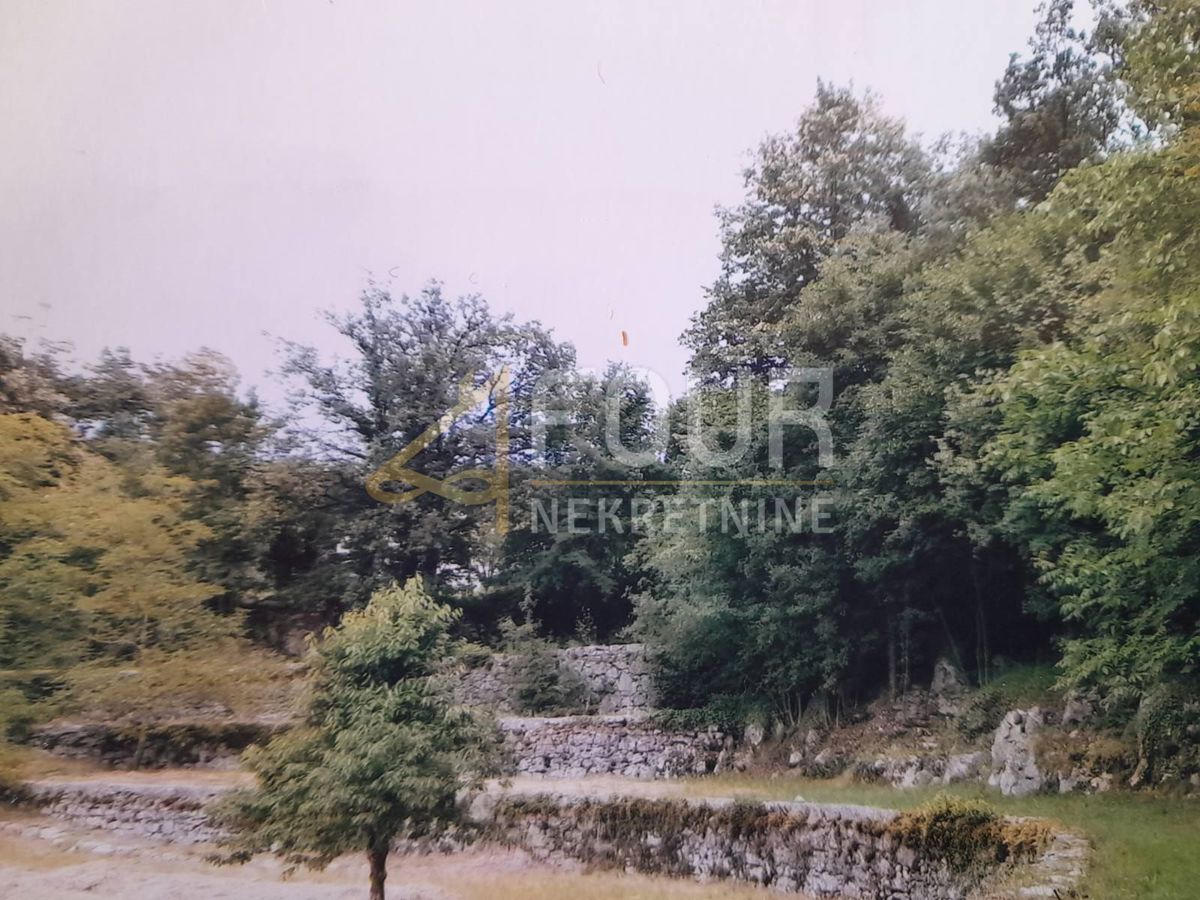 JUŠIĆI