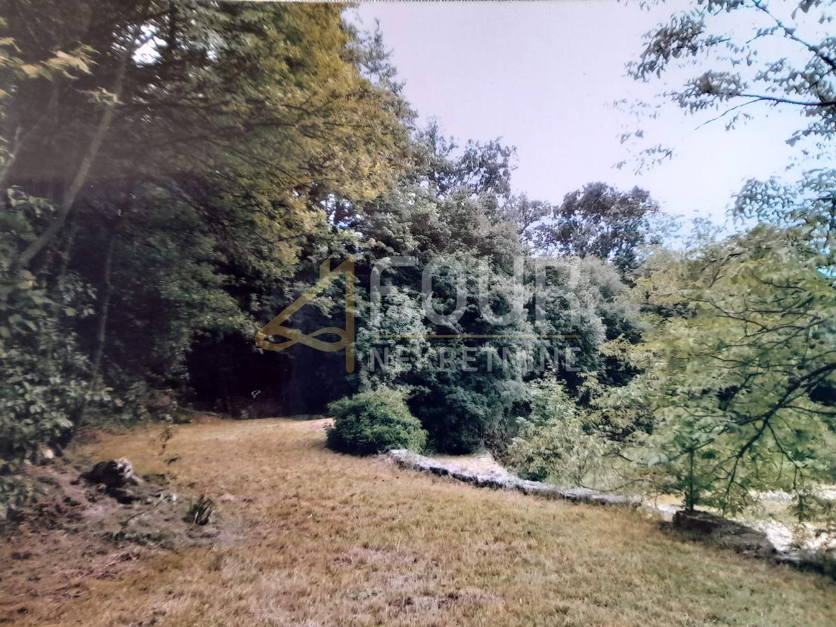 JUŠIĆI