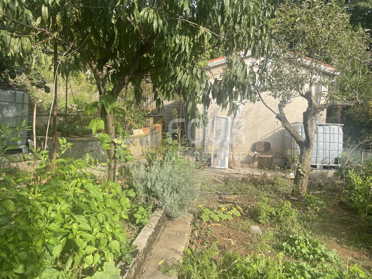 MATULJI