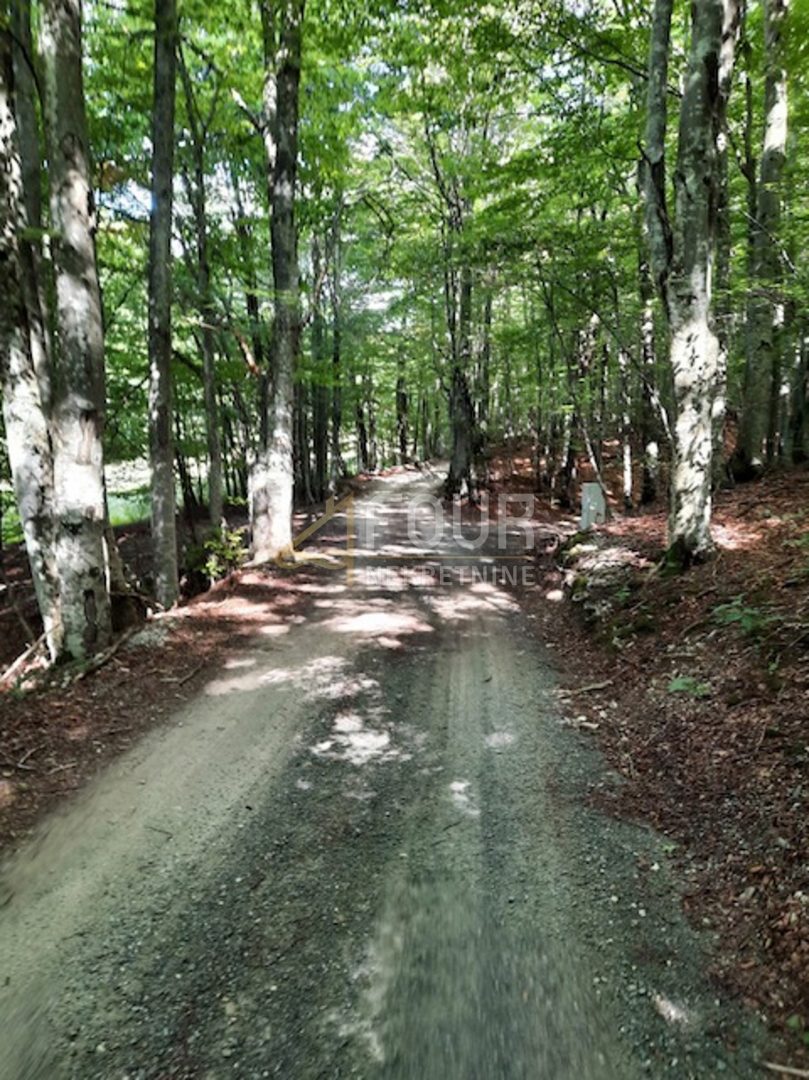 LIČ
