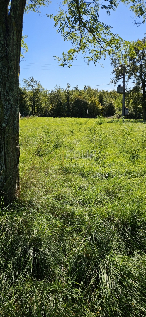 VIŠNJAN