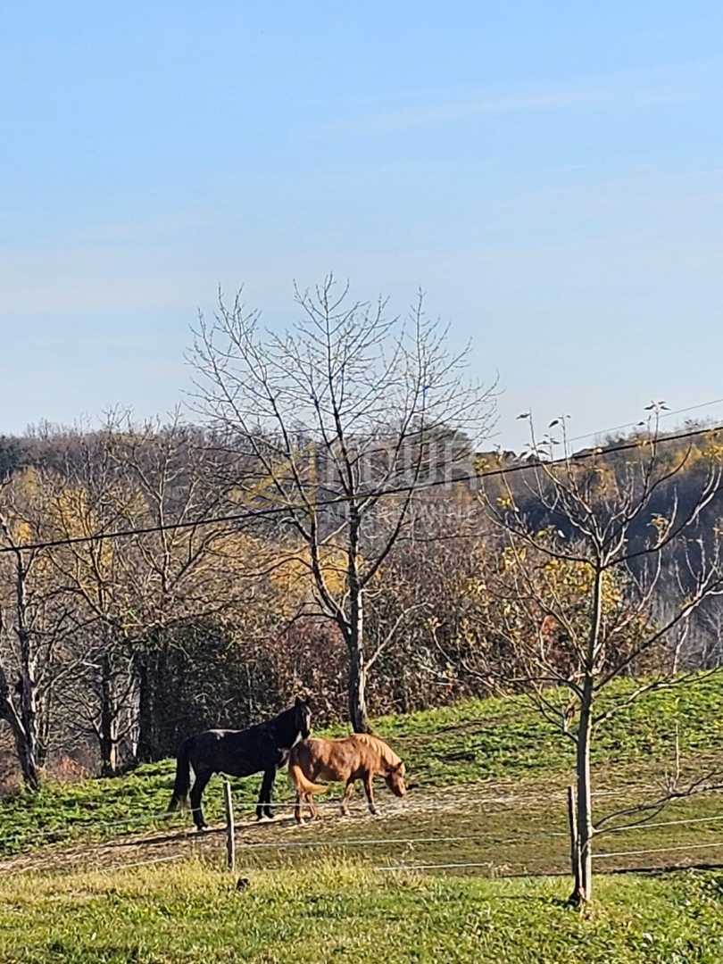 Terreno OZALJ, 47.000 €