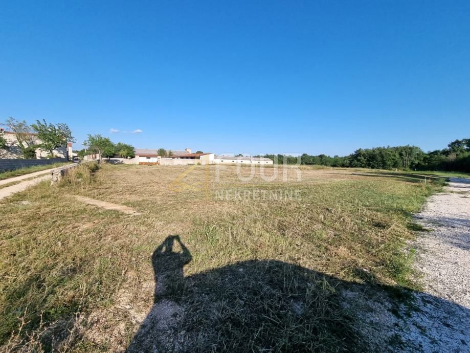 ŽMINJ