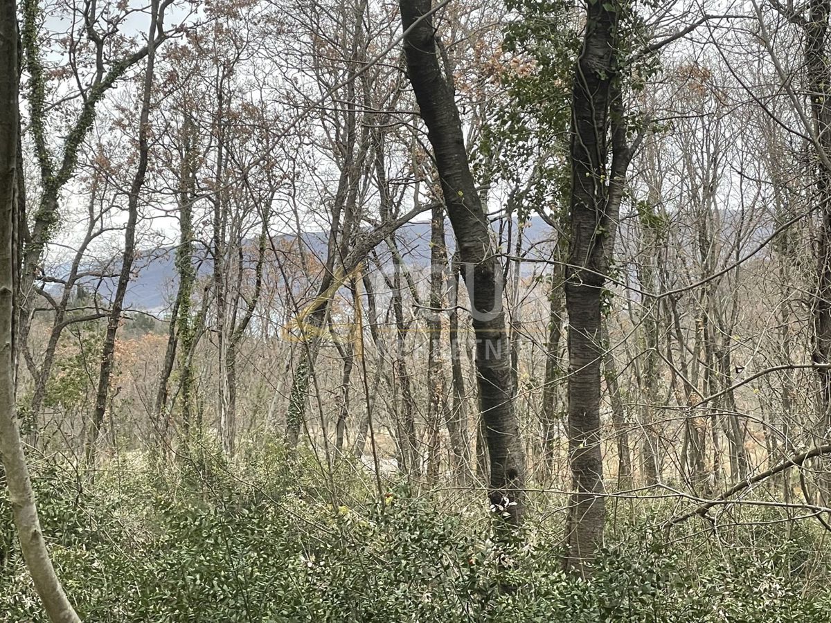 BRSEČ